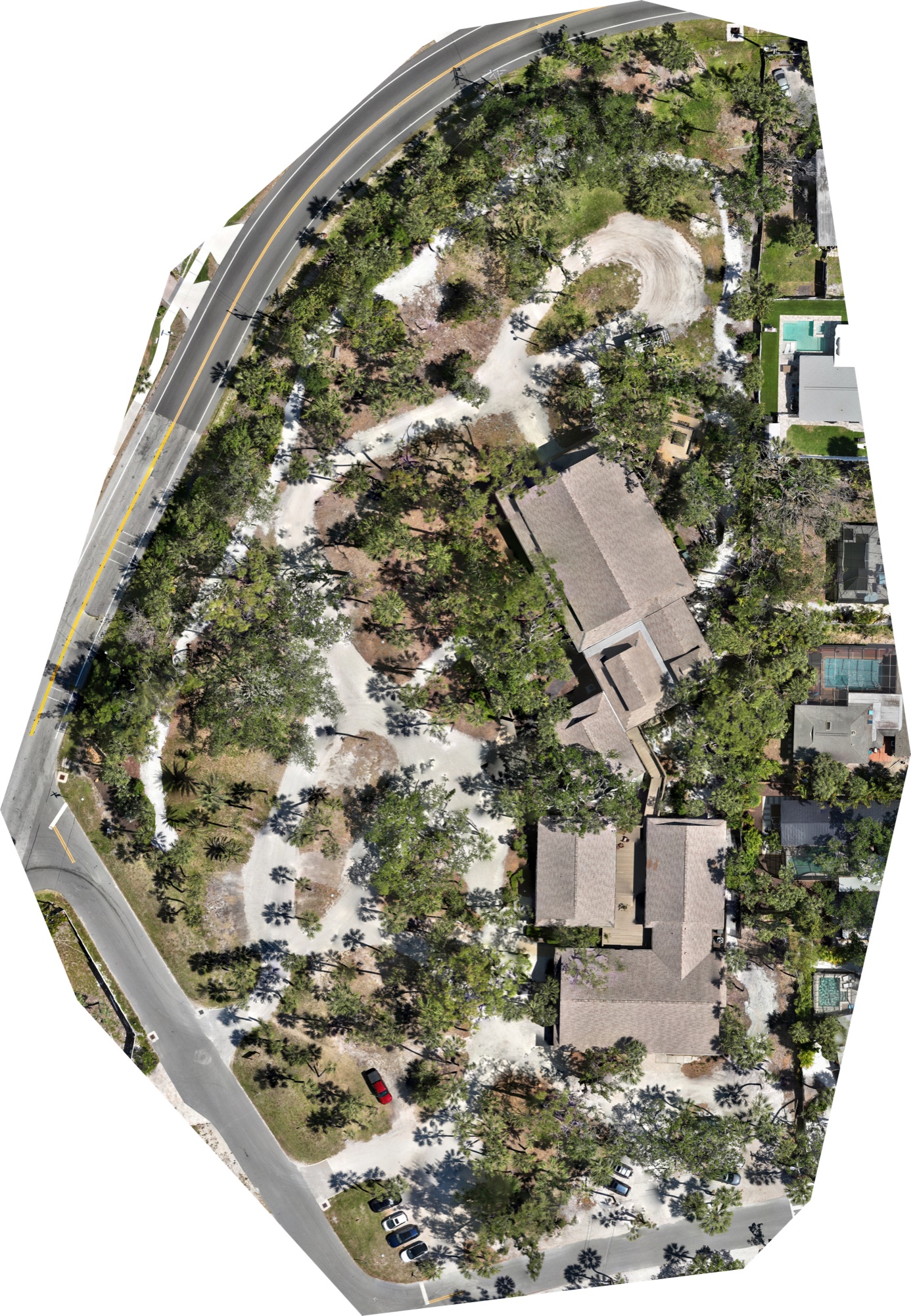 Top-down orthomosaic of the Siesta Key Chapel tree foundation, generated from 652 drone images.